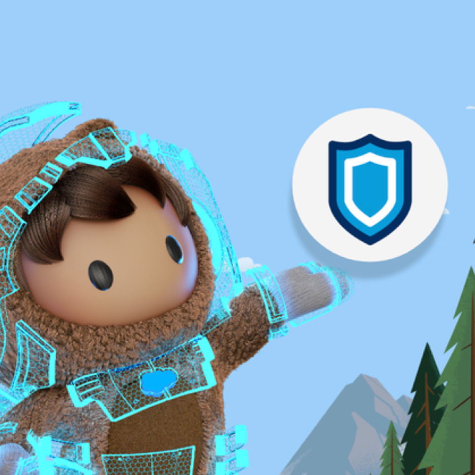 Shield Salesforce