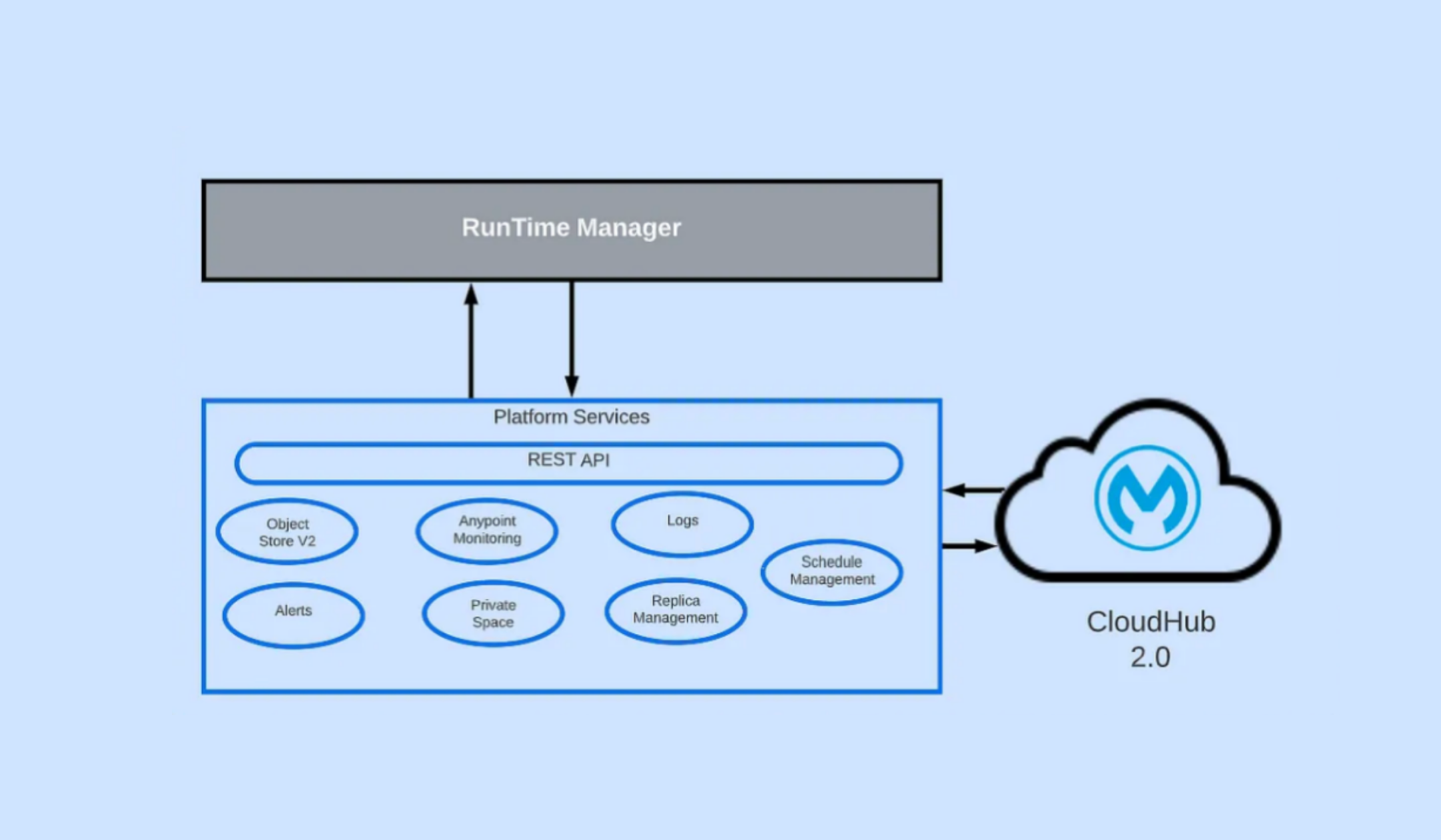 Runtime Manager