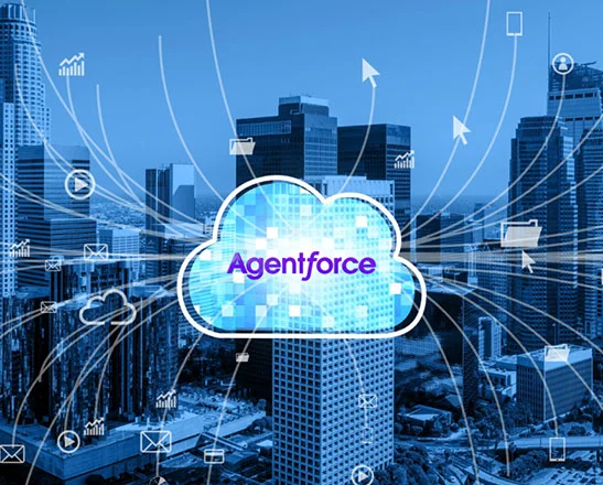 Salesforce Org for Agentforce AI Agents